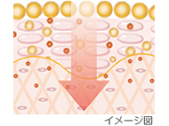 イメージ図